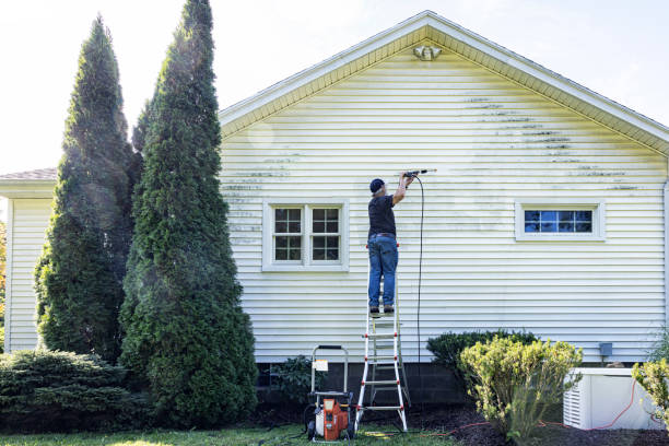 Best Driveway Cleaning and Restoration in Van Vleck, TX